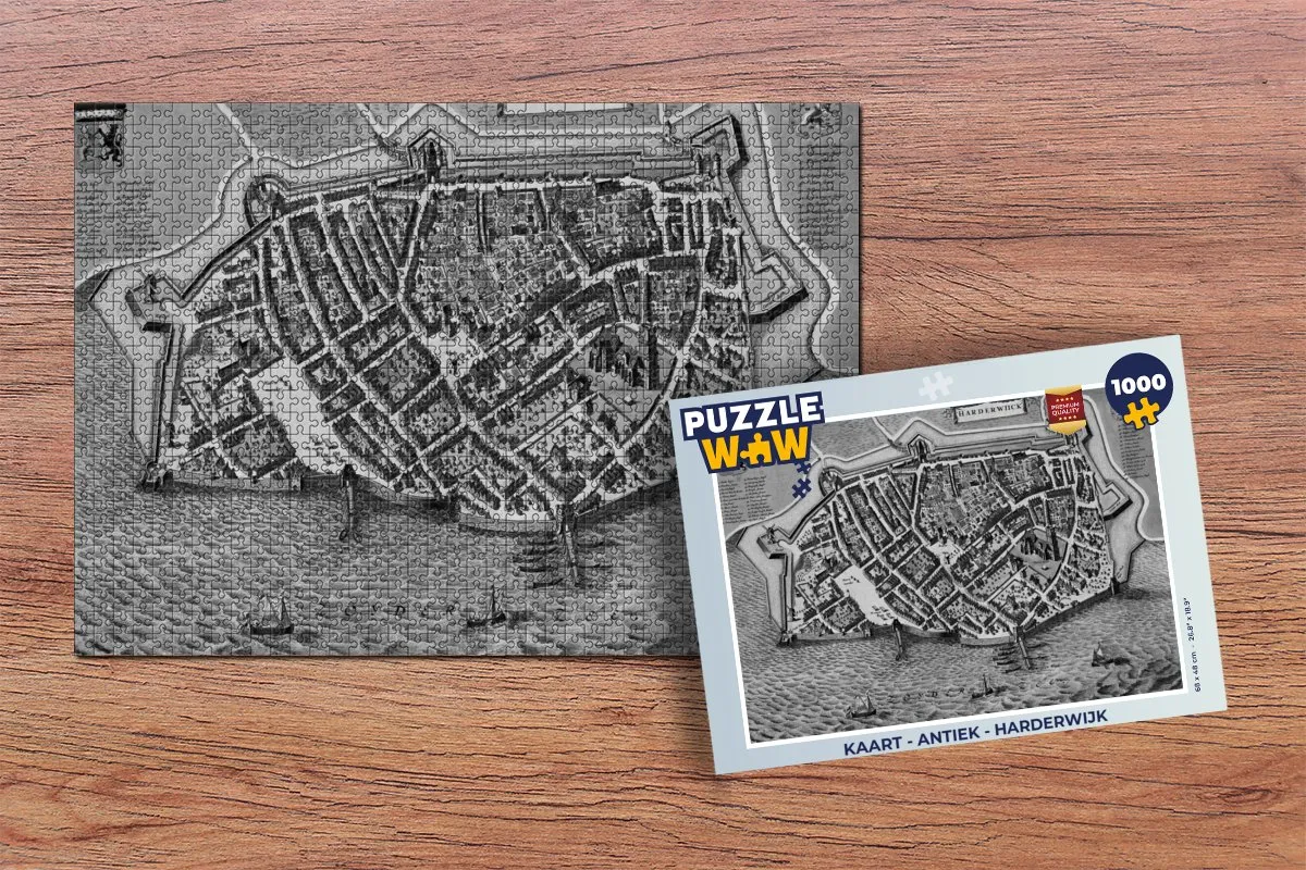 PuzzleWow Antiek Harderwijk Legpuzzel 1000 Stuks - Multicolor