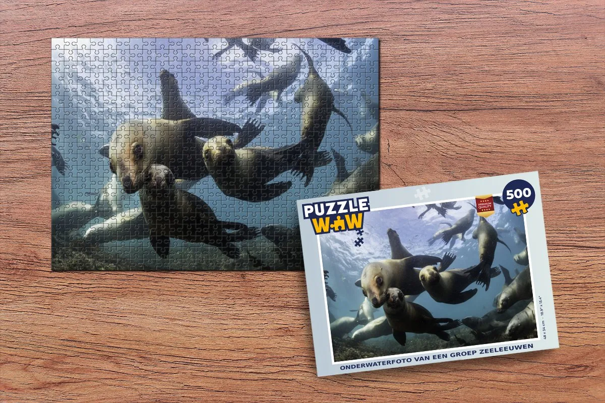 PuzzleWow Zeeleeuw Legpuzzel 500 Stuks - Multicolor