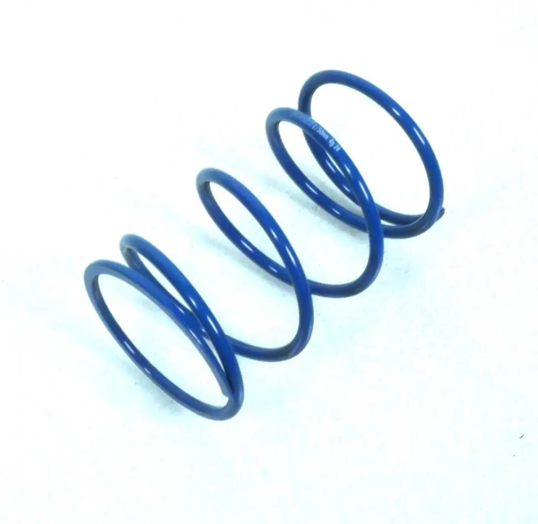 Ressort d'embrayage Polini pour scooter Derbi 50 GP1 243.092 BLeu -8% Neuf
