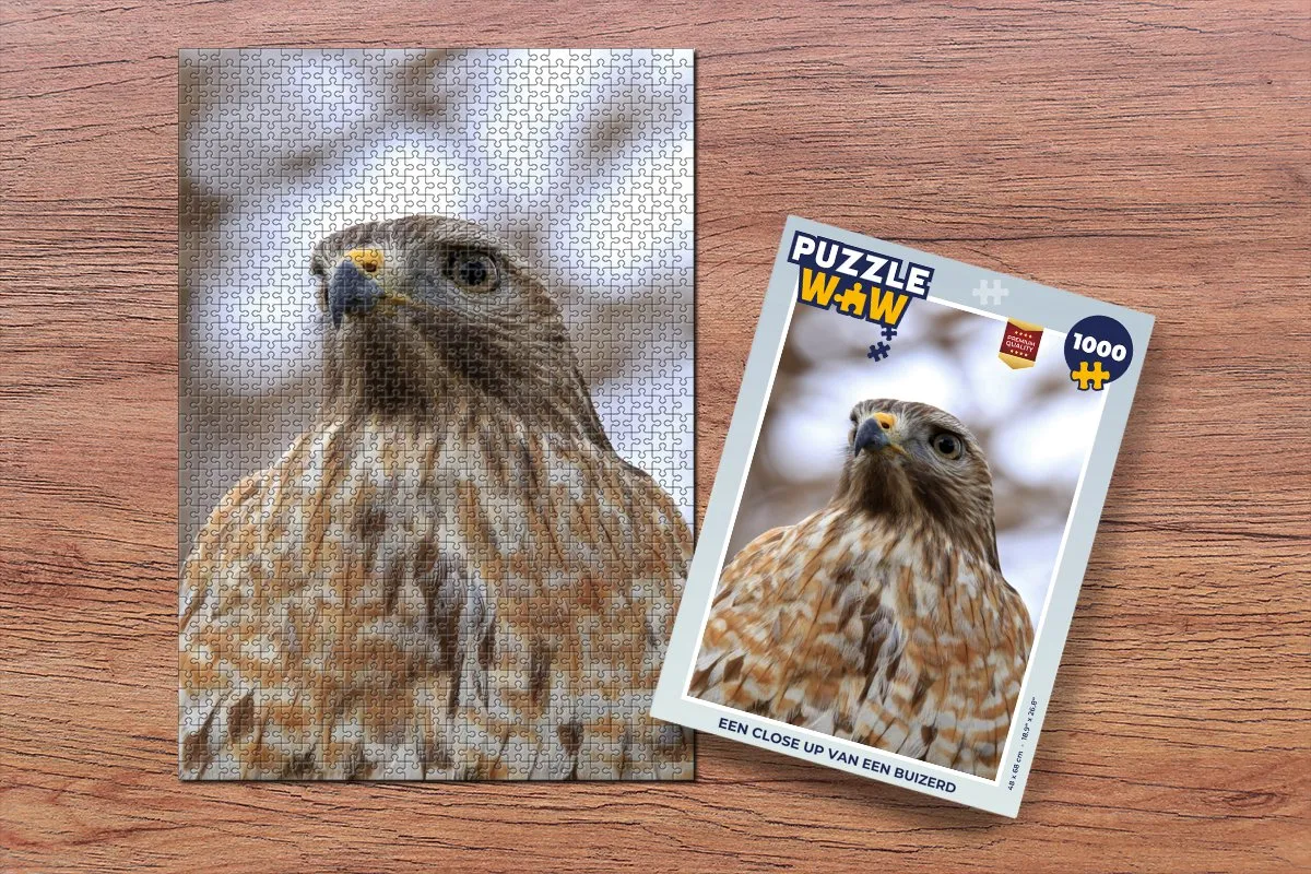 PuzzleWow Buizerd Legpuzzel 1000 Stuks - Multicolor