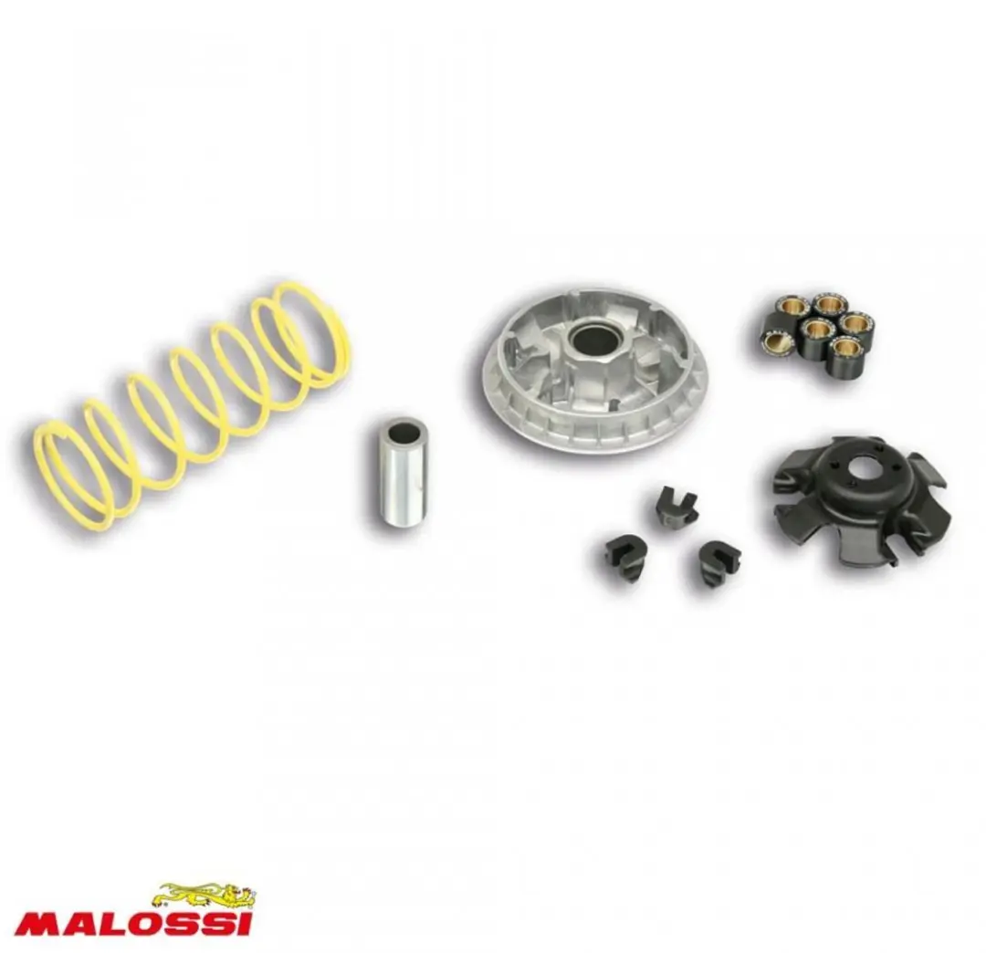 Variateur Malossi pour Scooter Sym 300 HD IE 4T LC EURO 4/5 2019 à 2021 Neuf