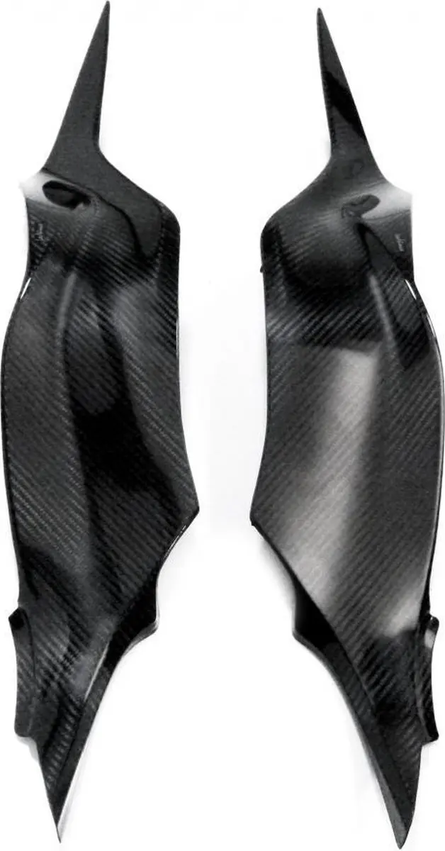 Cache latéraux de réservoir carbone Leovince pour moto Kawasaki 636 Zx-6 R Nin