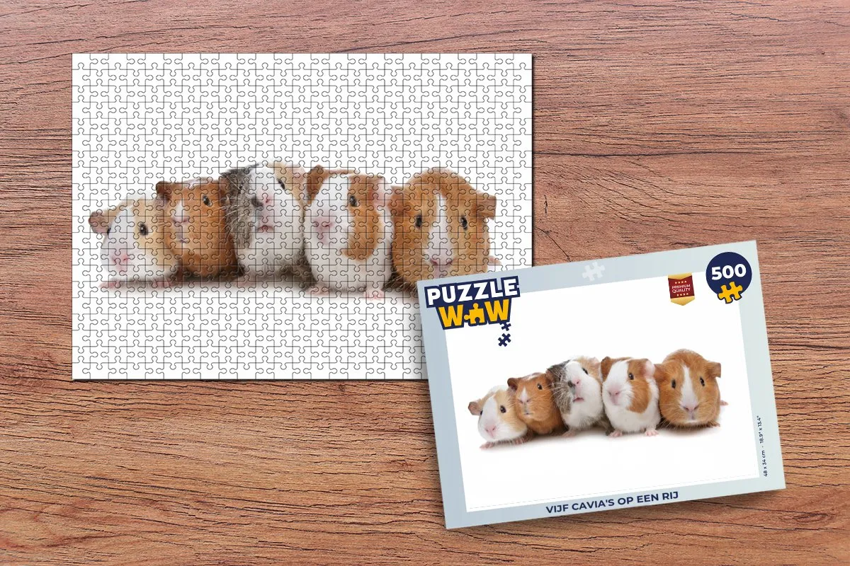 PuzzleWow Vijf cavia's op een rij Legpuzzel 500 Stuks - Multicolor