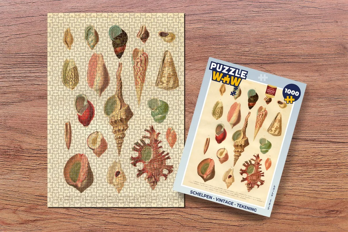 PuzzleWow Schelpen Vintage Legpuzzel 1000 Stuks - Multicolor