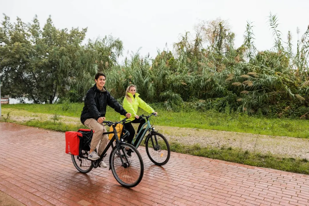 Willex Dubbele Fietstas - 34L - Rood - afbeelding 3 van 5