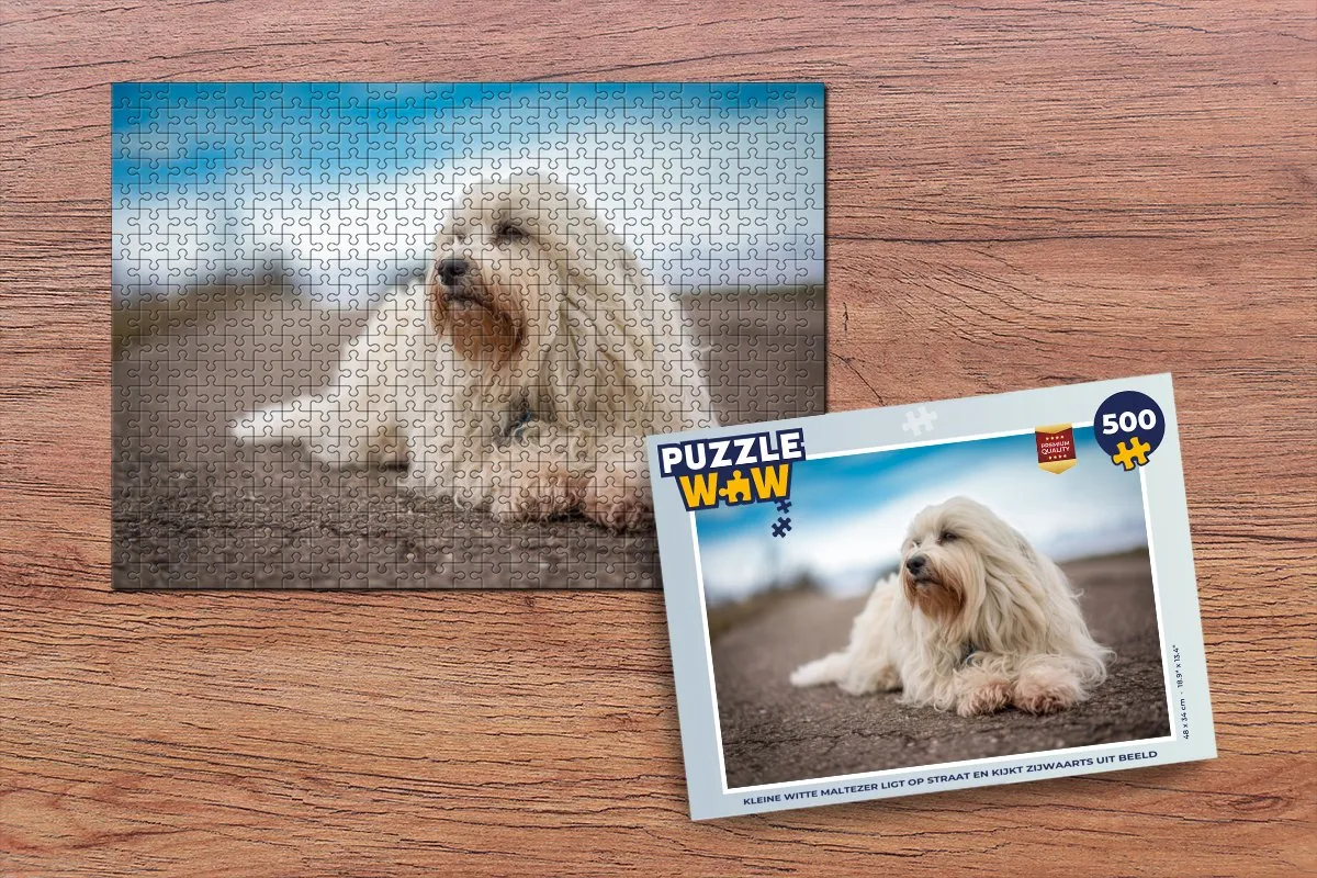 PuzzleWow Legpuzzel 500 Stuks - Kleine witte Maltezer