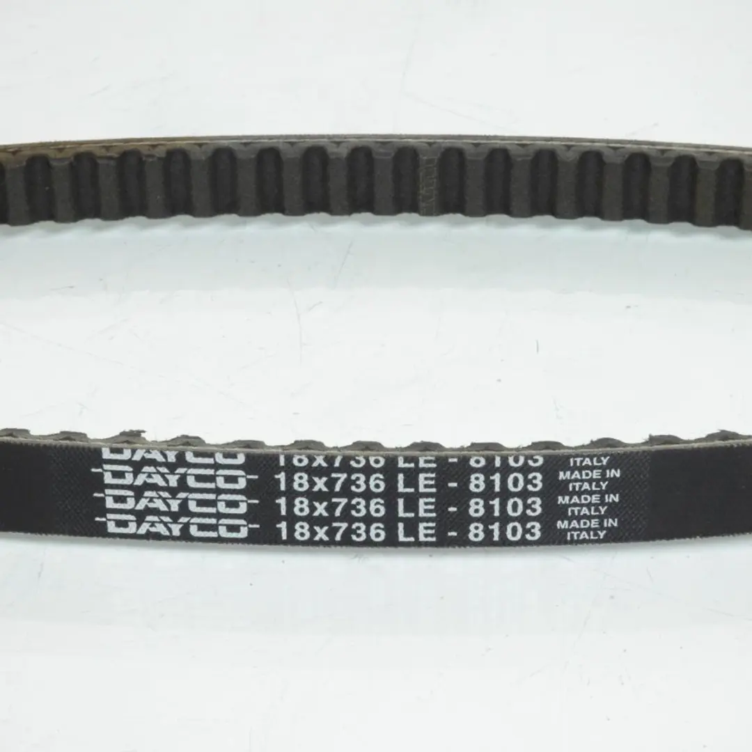 Dayco M0100 Transmissieriem - afbeelding 2 van 5