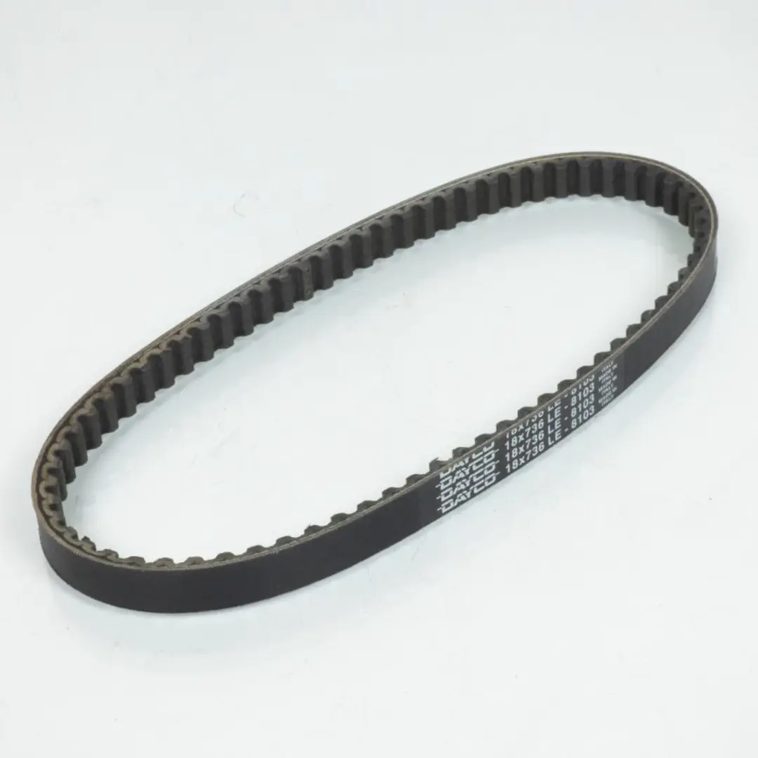 Dayco M0100 Transmissieriem - afbeelding 3 van 5