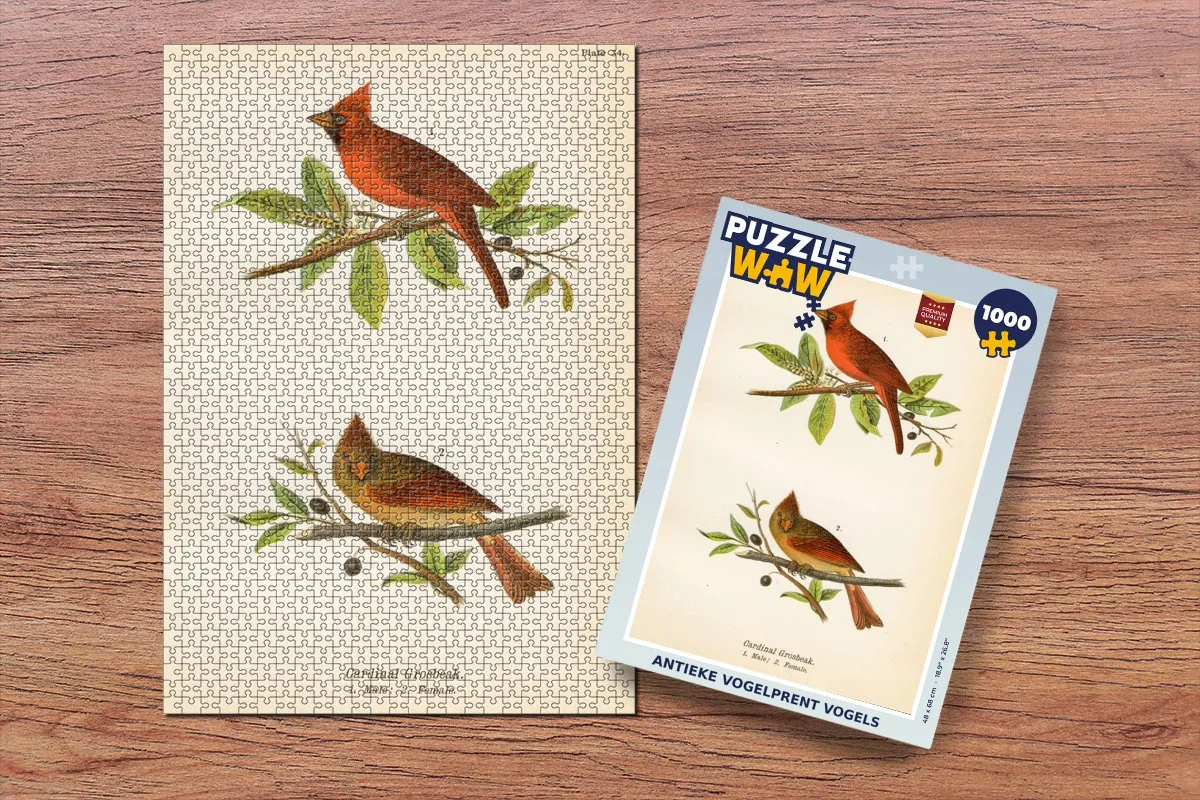 PuzzleWow Antieke Vogelprent Legpuzzel 1000 Stuks - Multicolor