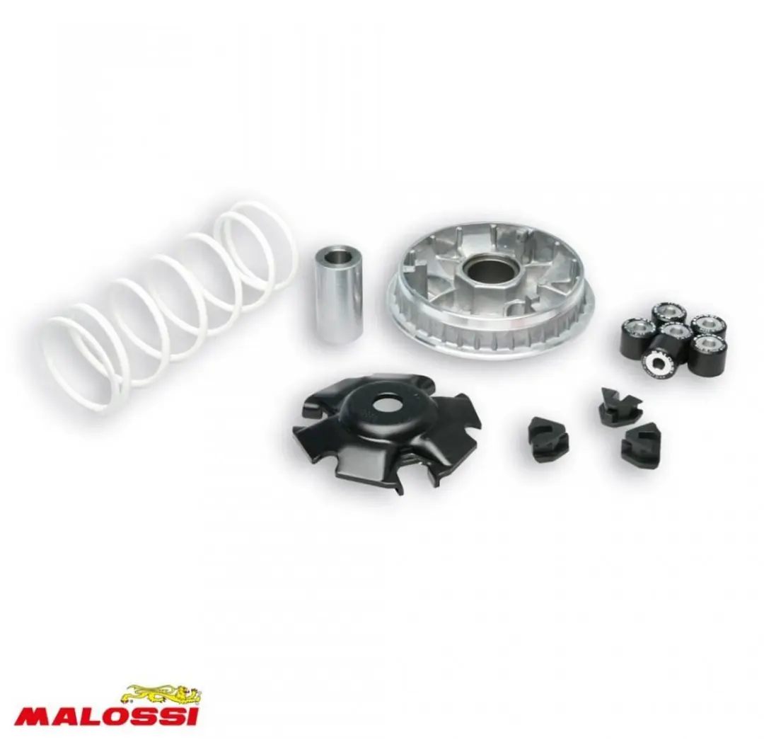 Variateur Malossi pour Scooter Honda 125 FES SILVER WING Après 2007 Neuf
