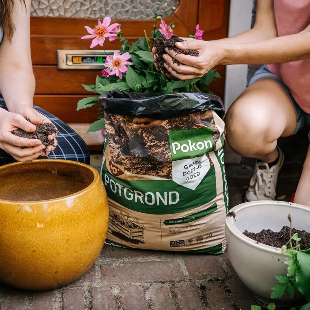 Pokon Bio Turfvrije Potgrond 10L - afbeelding 4 van 6