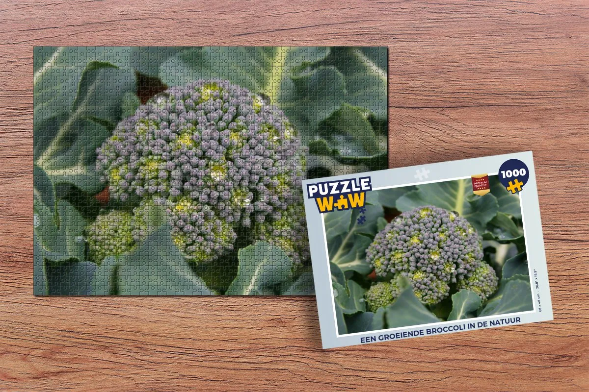 PuzzleWow Groeiende Broccoli Legpuzzel 1000 Stuks - Multicolor