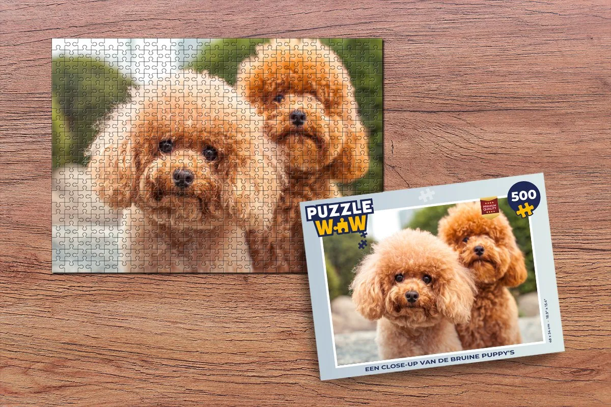PuzzleWow Legpuzzel 500 Stuks - Multicolor