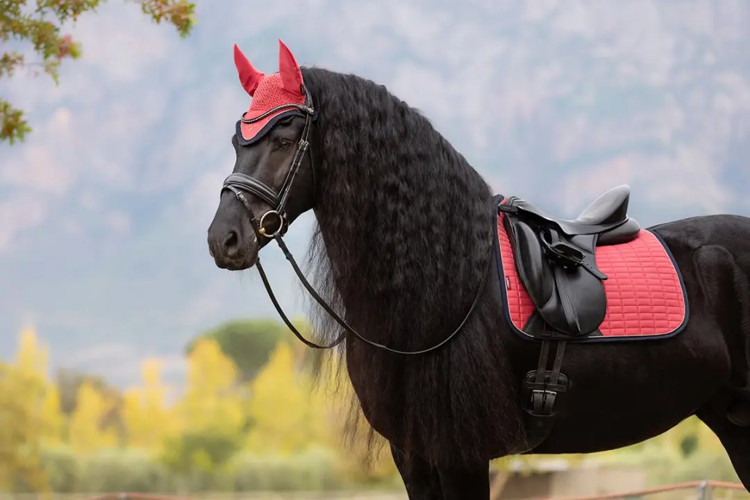 Lemieux Suède Dressage Zadeldek Full - Donkerroze - afbeelding 4 van 6