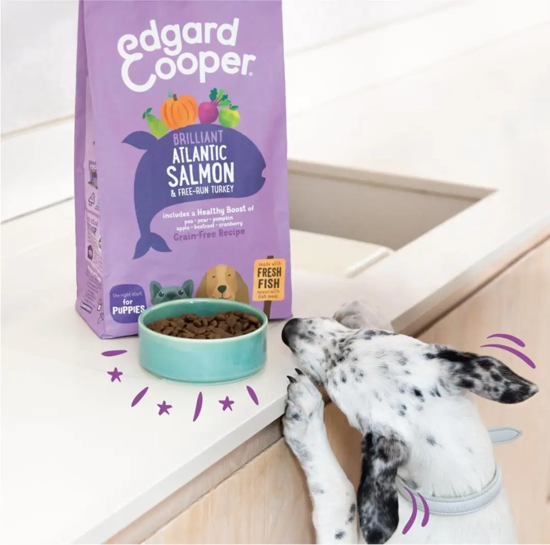 Edgard & Cooper Puppy Graanvrij Zalm & Kalkoen - 6x700g