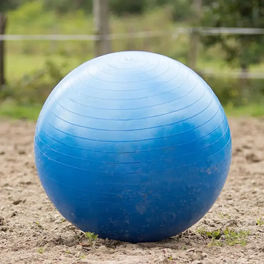 QHP Paardenvoetbal - Blauw - afbeelding 5 van 6