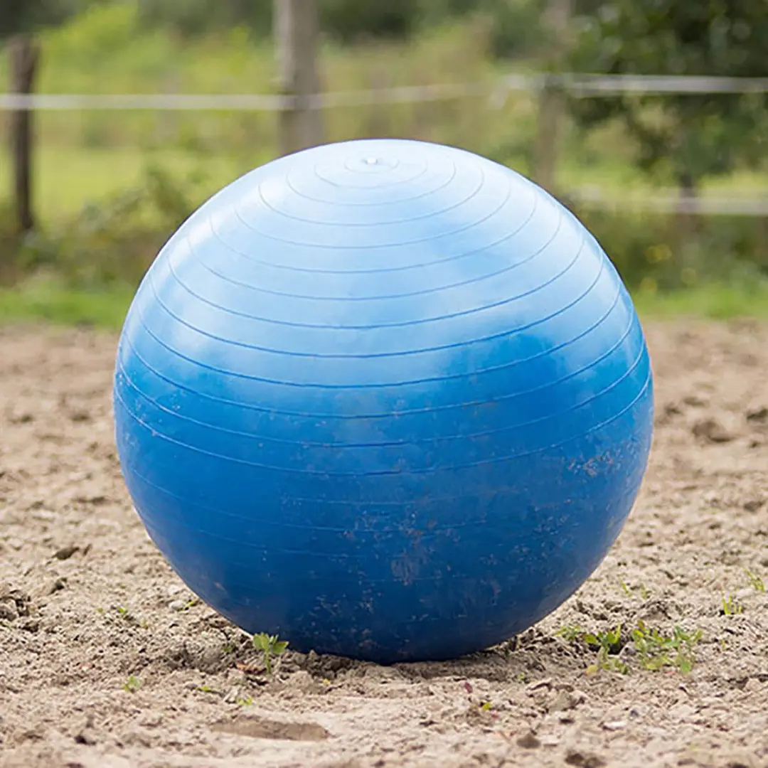 QHP Paardenvoetbal - Blauw - afbeelding 3 van 6