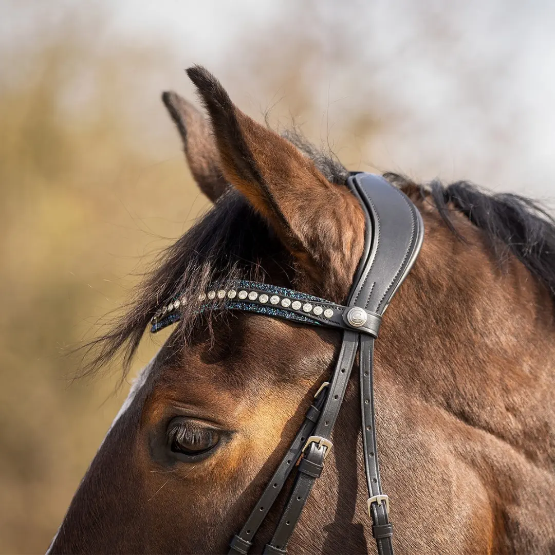 QHP Skye Frontriem - Pony - Zwart-blauw - afbeelding 6 van 6