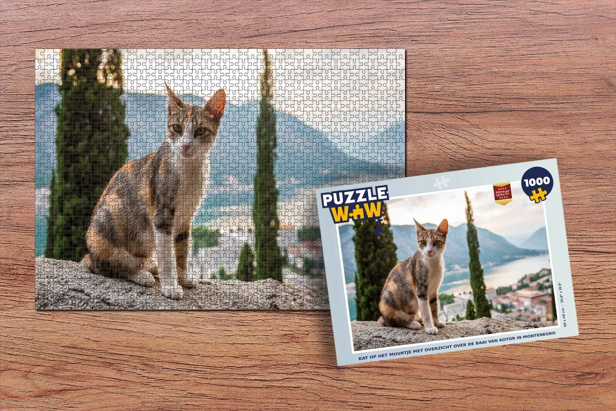 PuzzleWow Legpuzzel Kat op het muurtje Montenegro 1000 Stuks