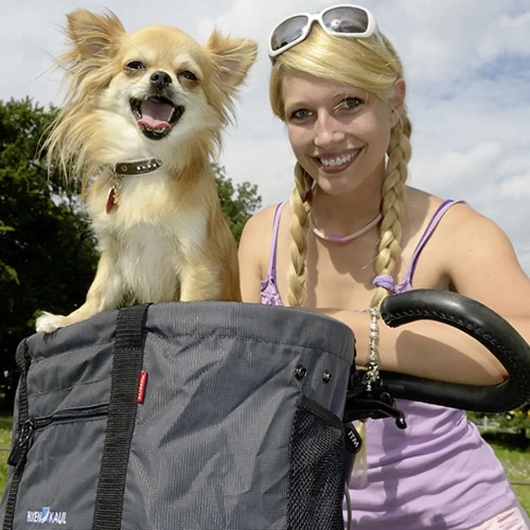 Klickfix Doggy Fietsmand - 24L - Grijs - afbeelding 3 van 6