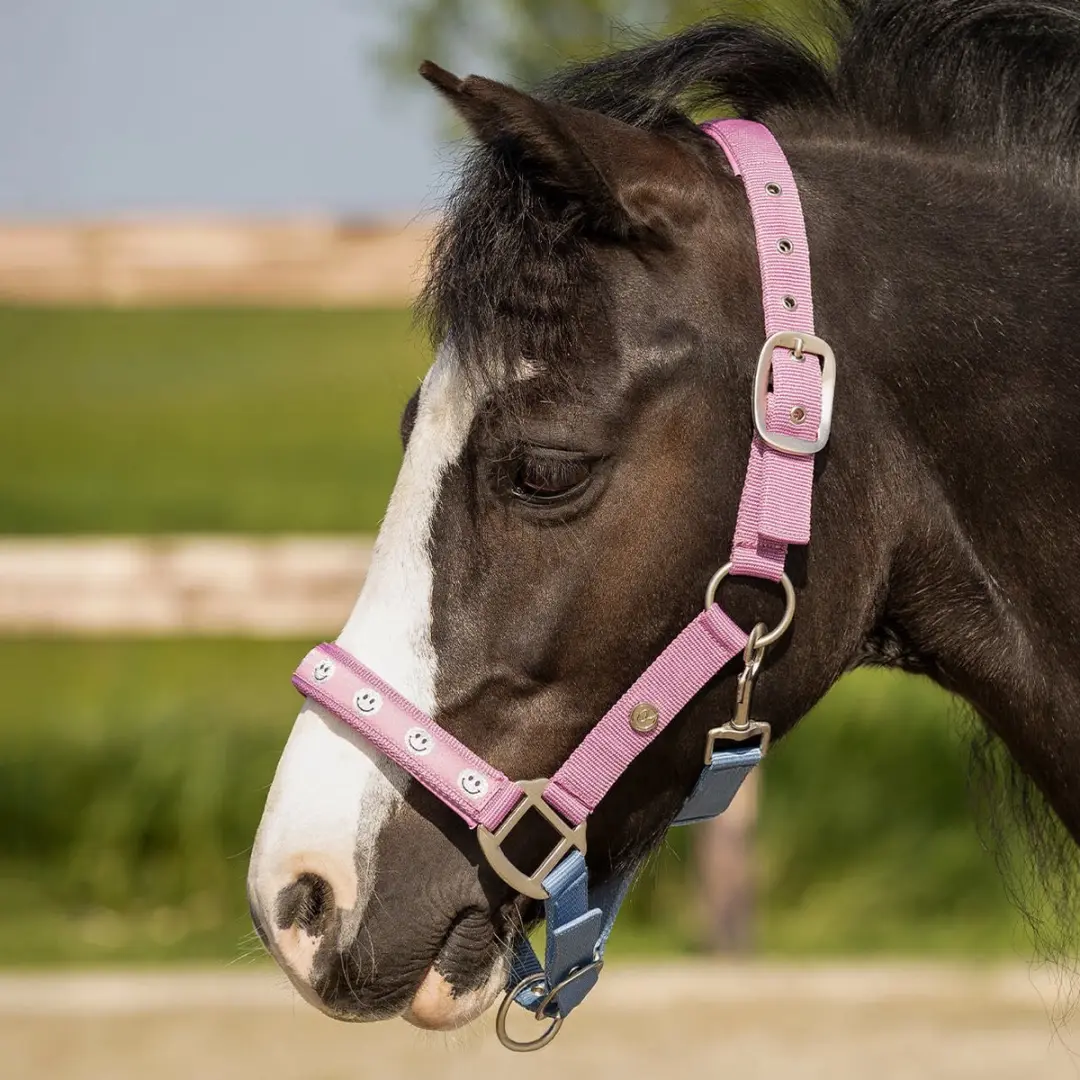 Qhp Halster Rosalynn Roze/Blauw