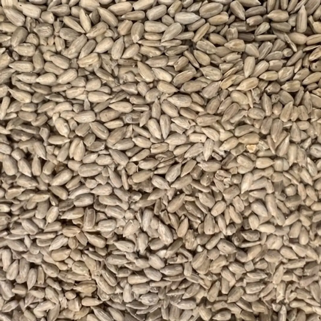 Famiflora Gepelde Zonnepitten 20kg
