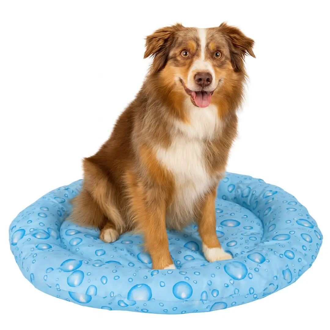 Nobleza Koelmat voor Hond en Kat