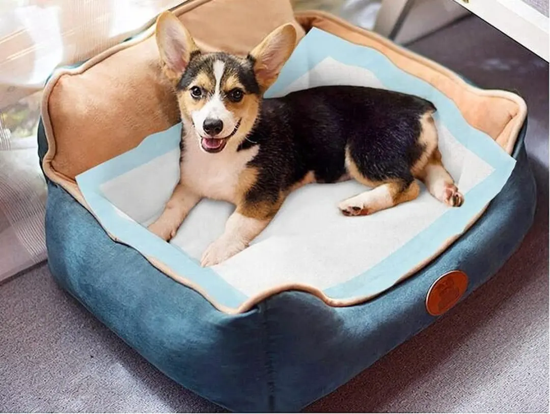 Nobleza Puppy Training Pads 60x90cm - 10 Stuks - afbeelding 6 van 6