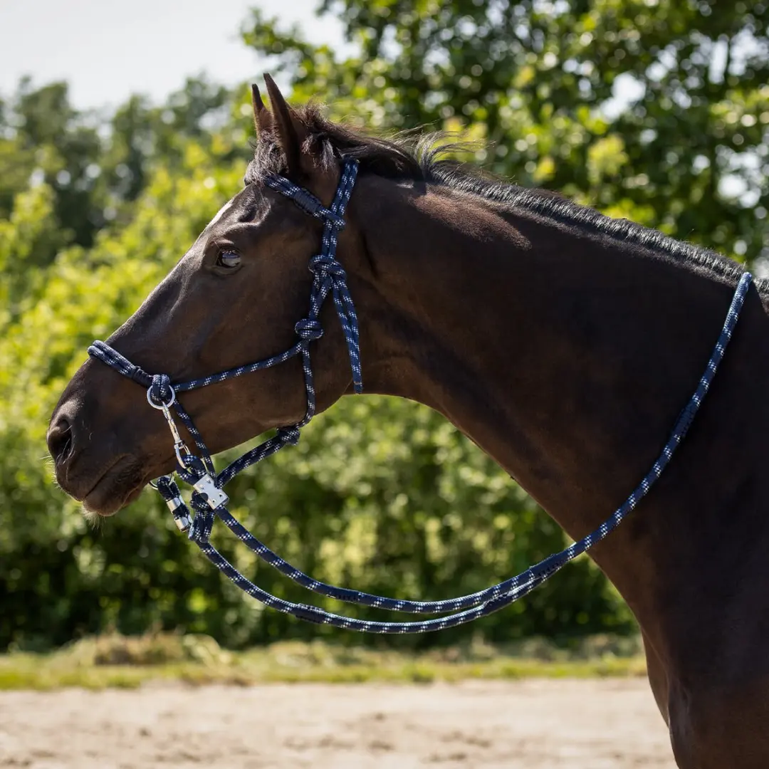 QHP Touwhalster Aubree Misty Blue/Navy - Full - afbeelding 3 van 6