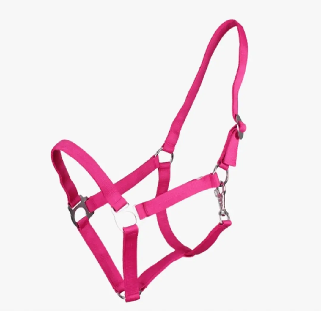 QHP Kantari Slide Fuchsia X-Full