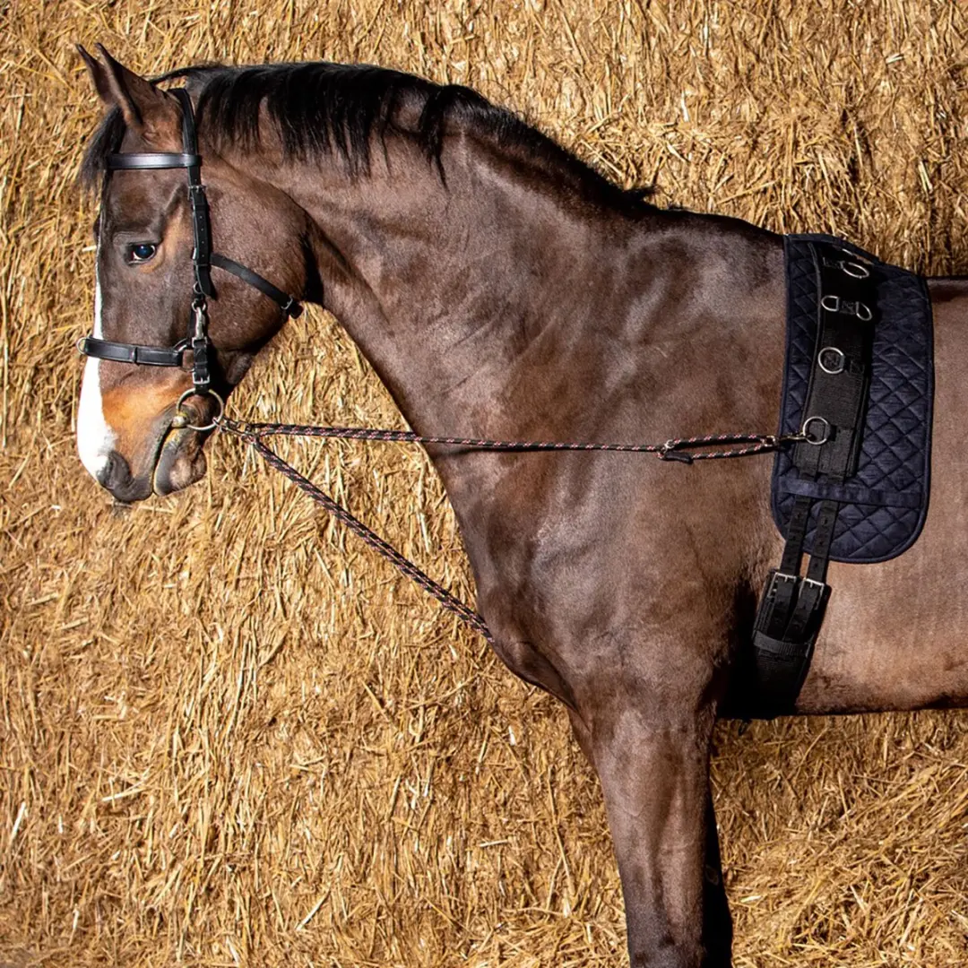Epplejeck Bijzettouwtjes Harry's Horse Zwart