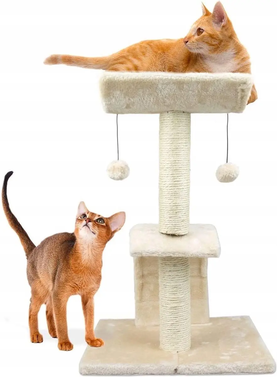 Nobleza Katten Krabpaal
