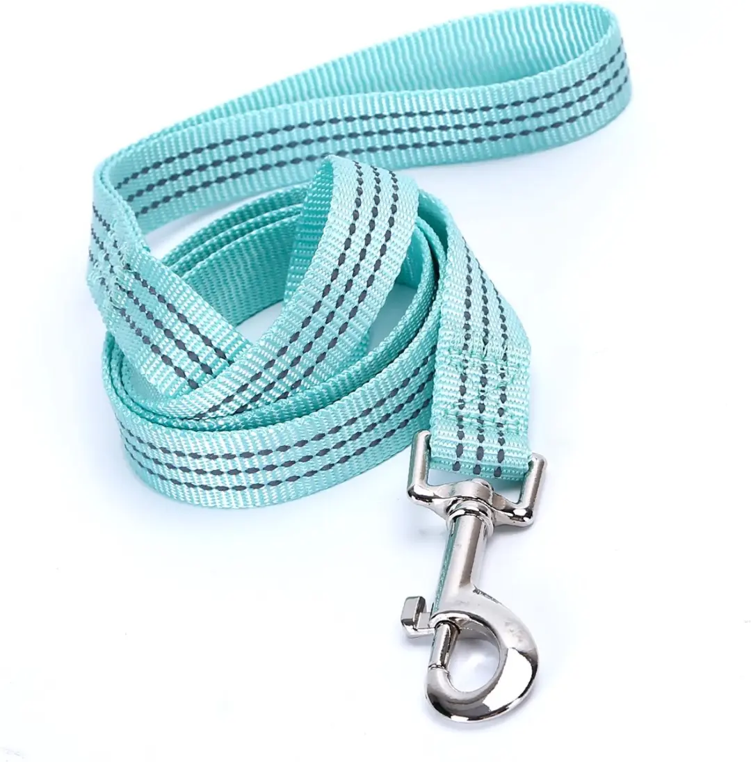 Nobleza Hondenriem Reflecterend 120cm Mint