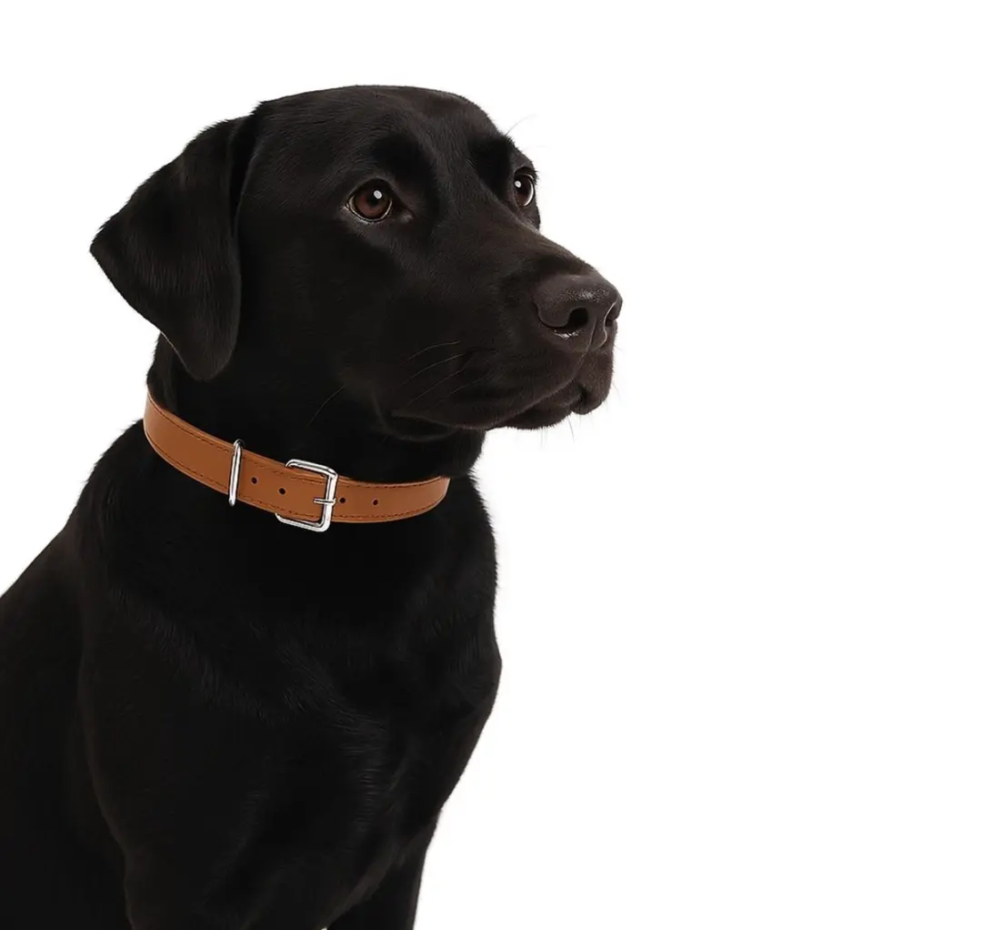 Nobleza Hondenhalsband