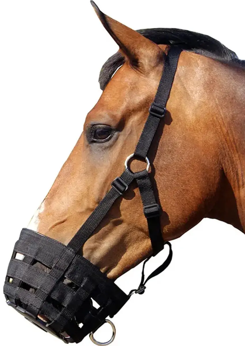 QHP Graasmasker Black - Pony Rood - afbeelding 3 van 6