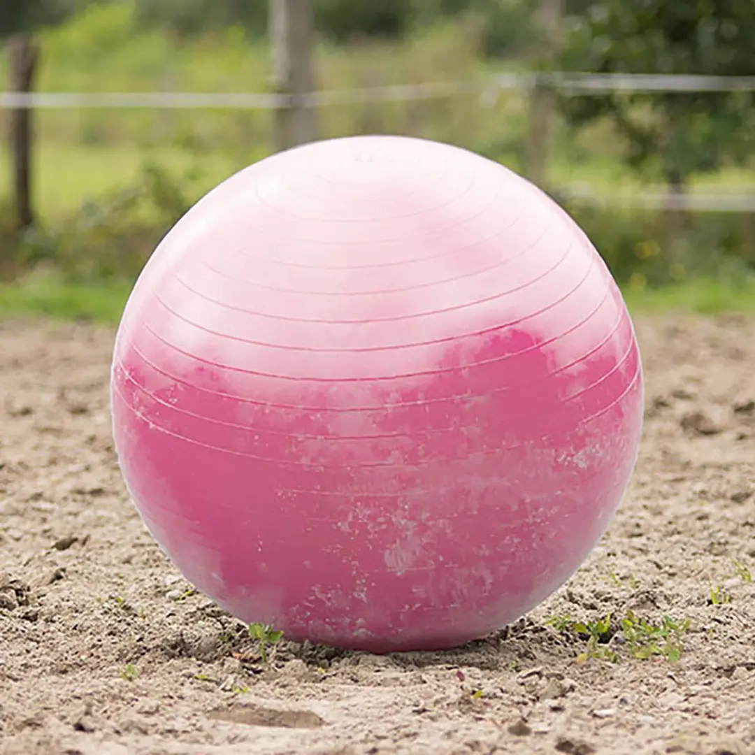 QHP Paardenvoetbal Roze - afbeelding 2 van 5