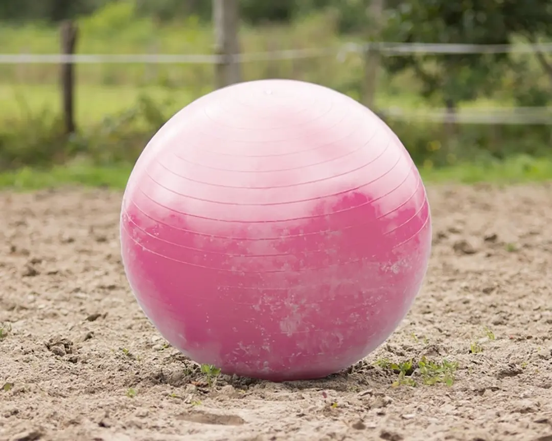 QHP Paardenvoetbal Roze