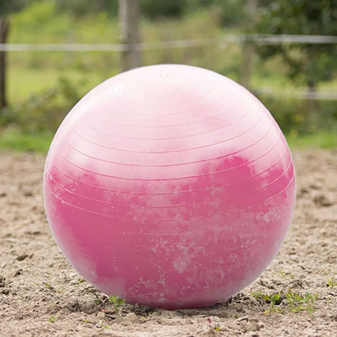 QHP Paardenvoetbal Roze - afbeelding 5 van 5