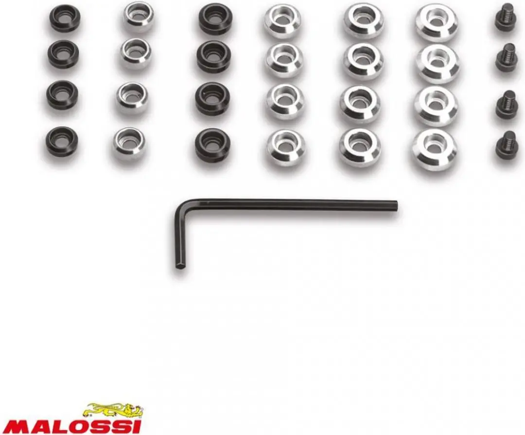 Galet rouleau de variateur Malossi pour Mobylette Peugeot 50 103 PRO Après 1971