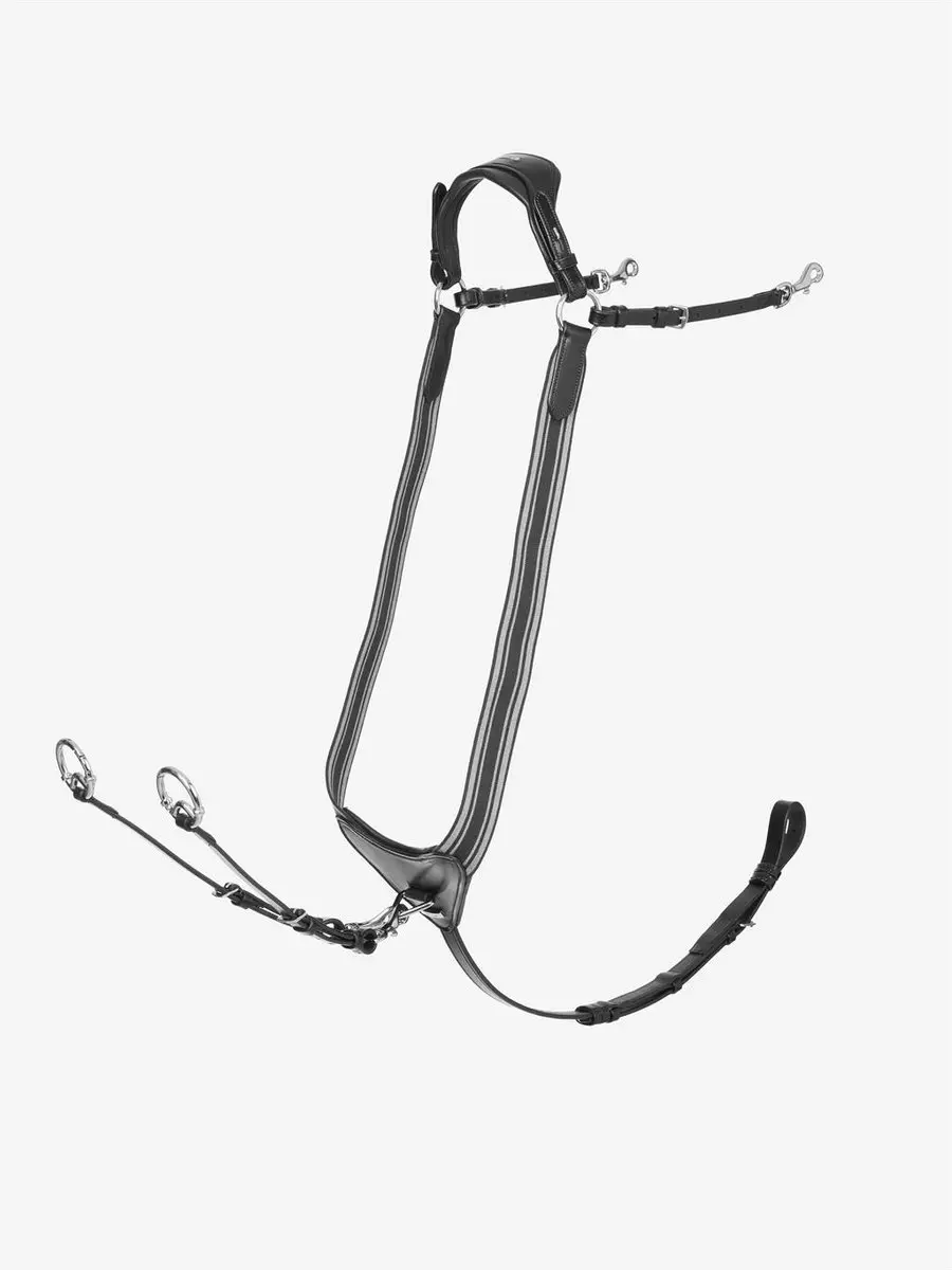 Lemieux Arika Borsttuig Full - Zwart-zilver