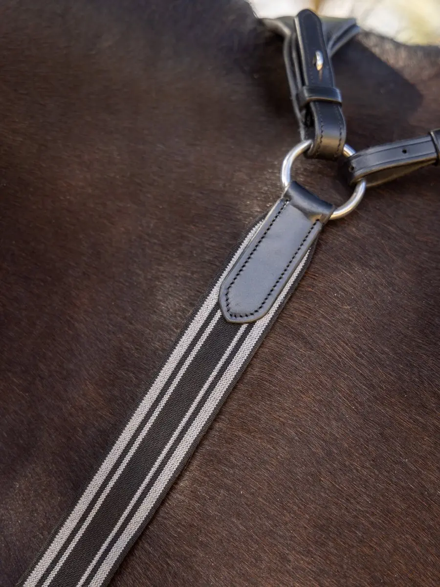 Lemieux Arika Borsttuig Full - Zwart-zilver