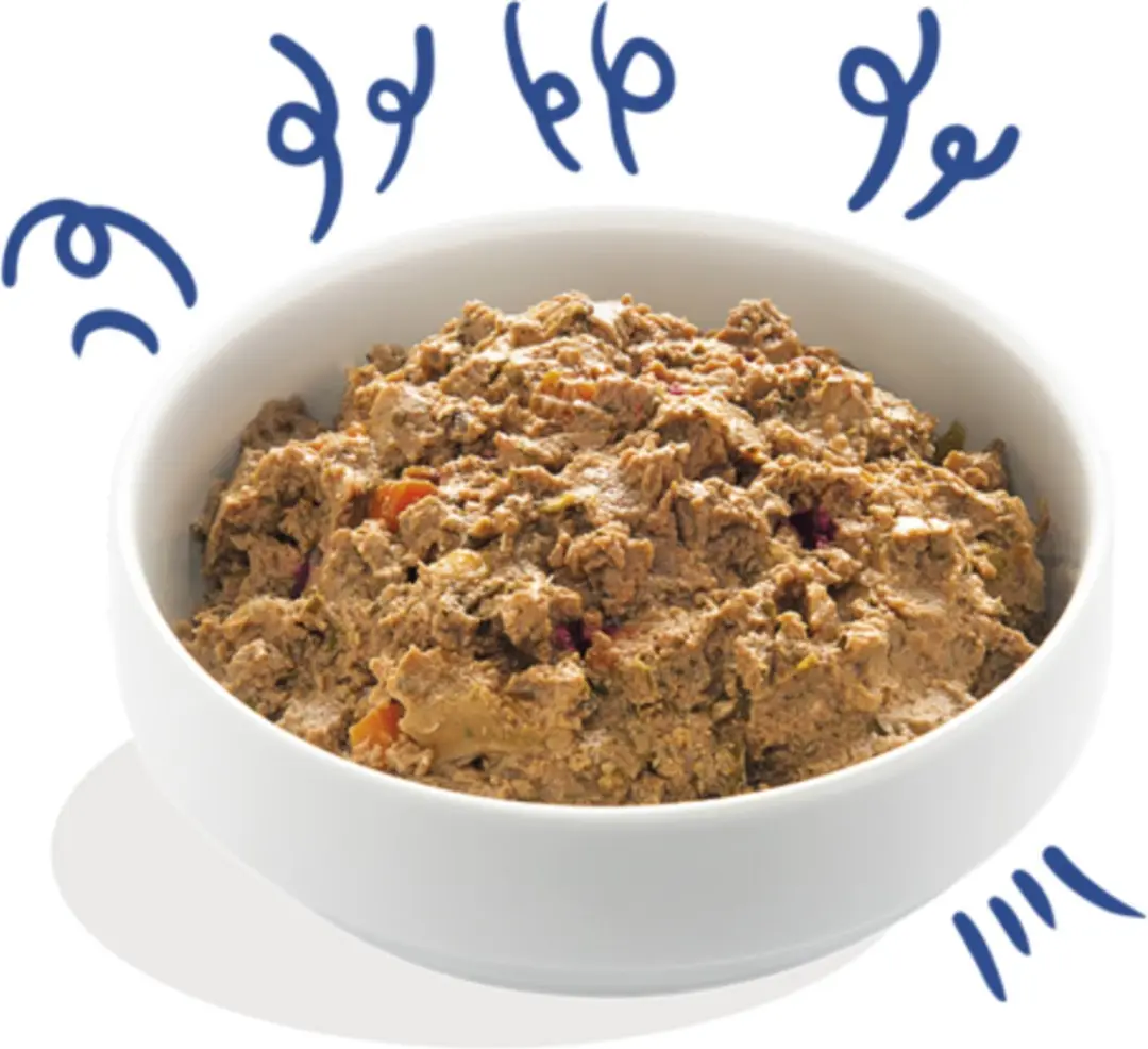 Edgard & Cooper Kuipje Salmon Turkey Adult 300g