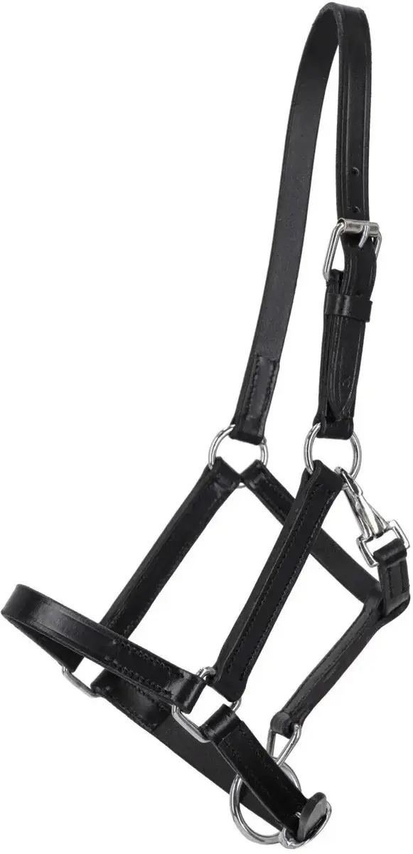 Qhp Veulenhalster leer met Clip Zwart