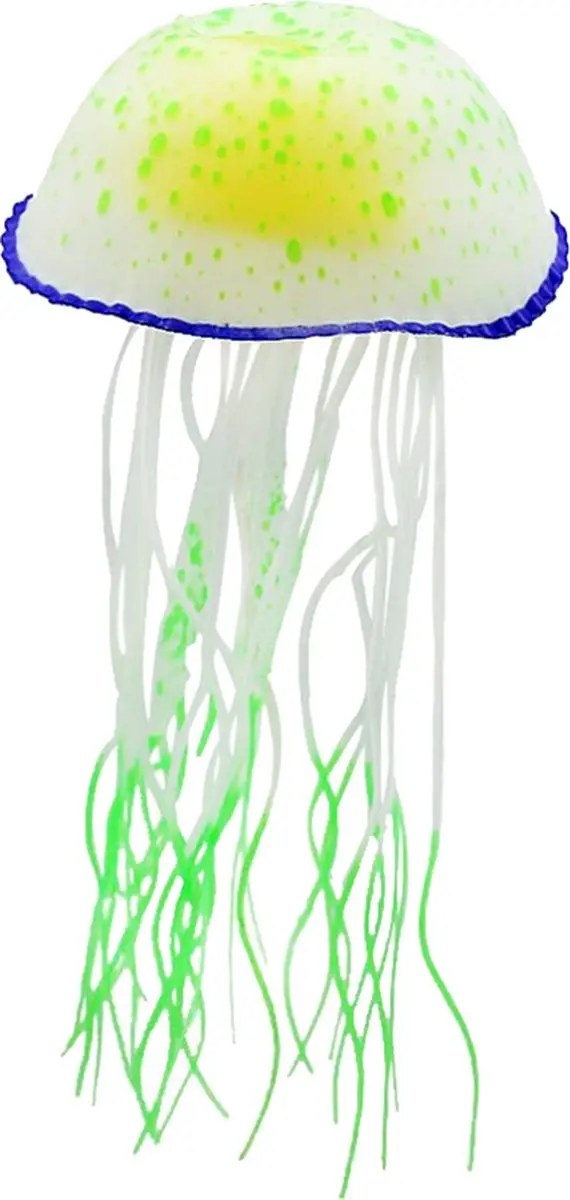 Nobleza Aquarium Kwal