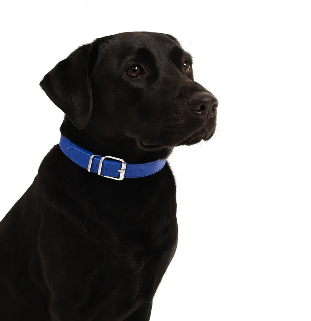 Nobleza Hondenhalsband blauw