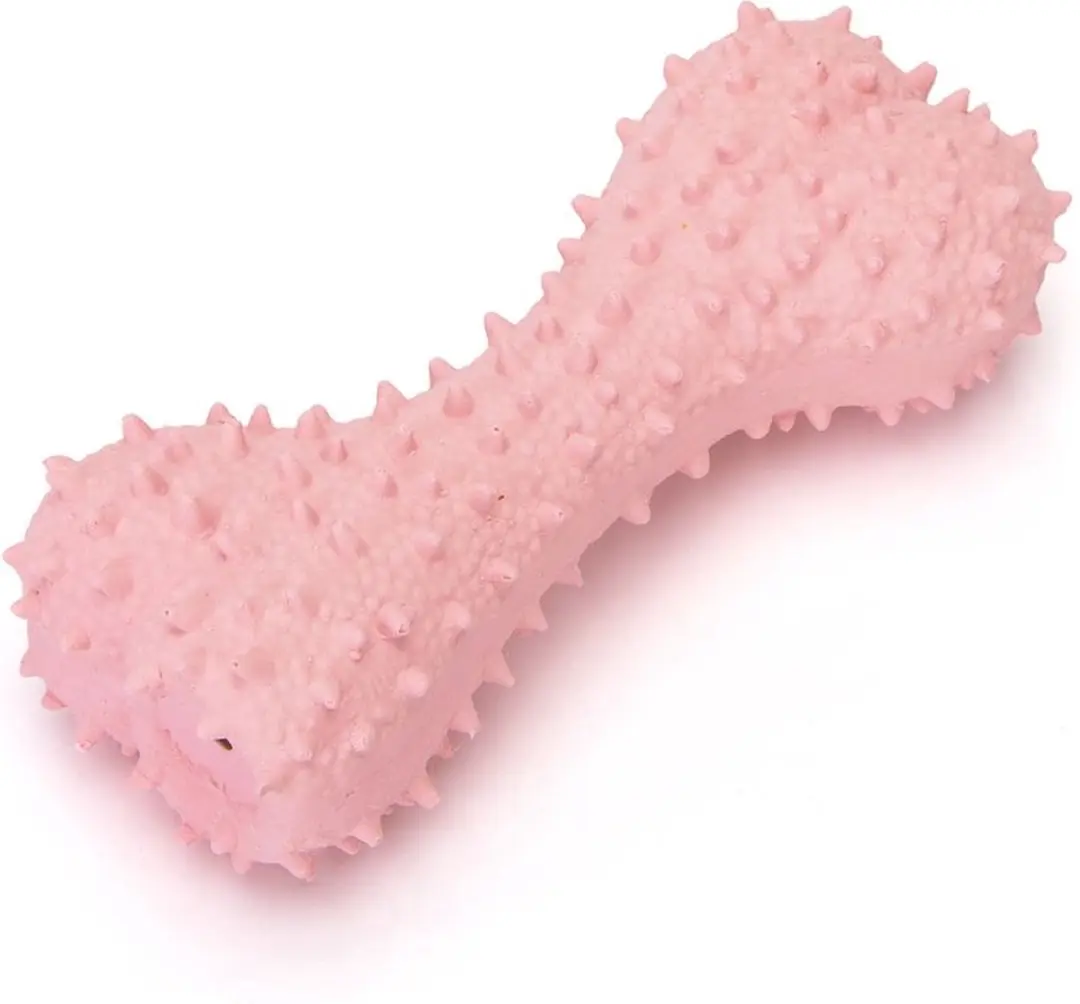 Nobleza Honden Kauwspeelgoed Rubber Botje 8,5 cm