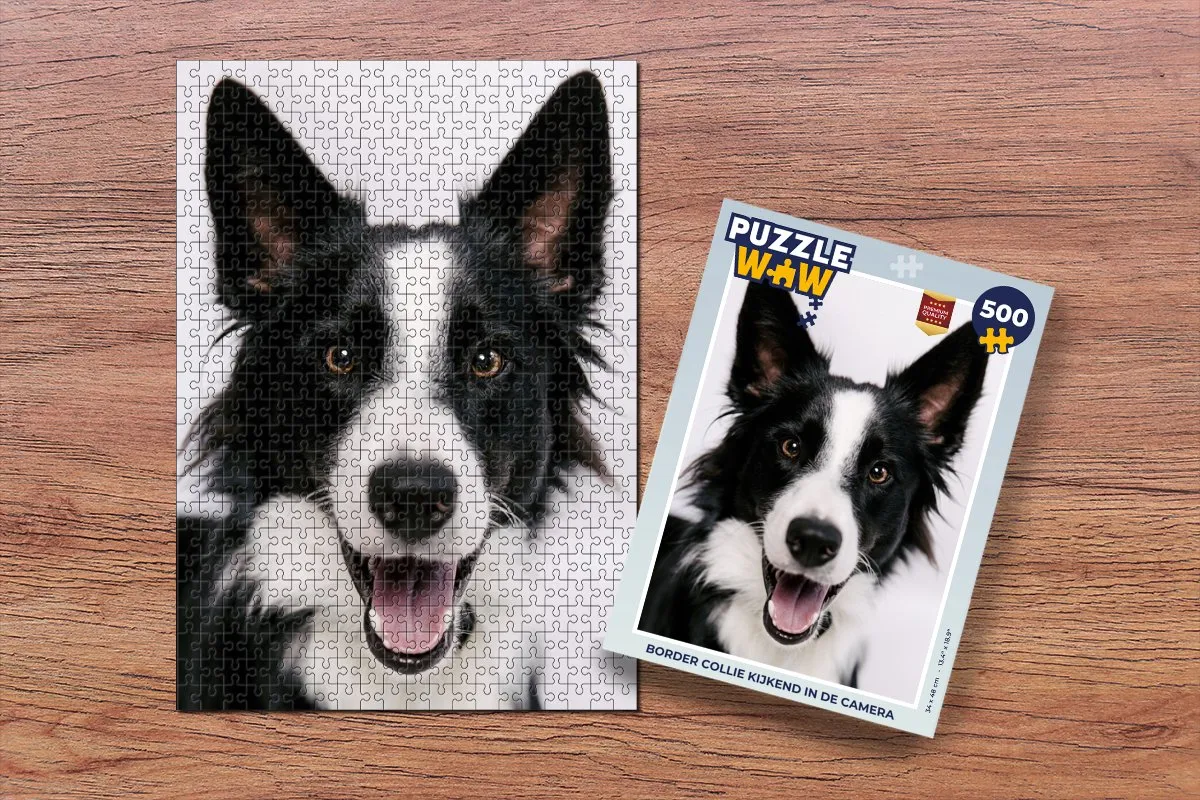PuzzleWow Border Collie Legpuzzel 500 Stuks - Multicolor