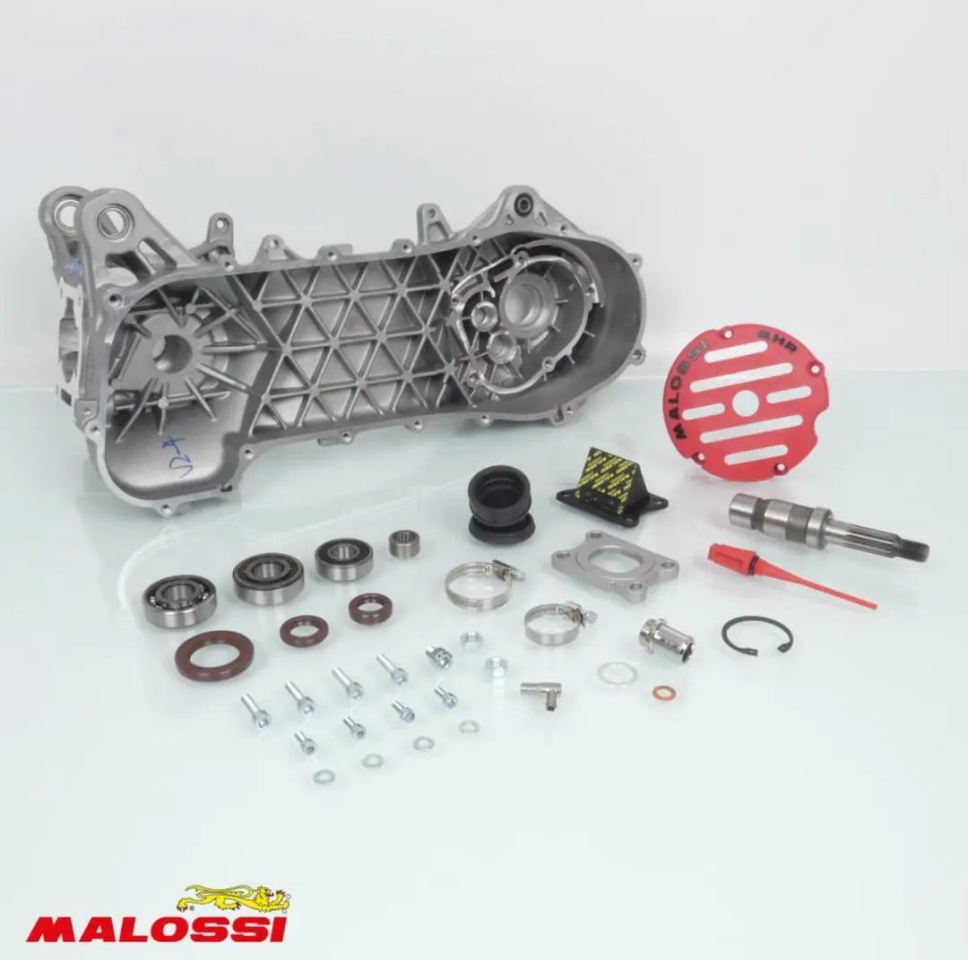 malossi carter voor aprilia 50 rally scooter 5716668 / mhr rc-one 94cc nieuw