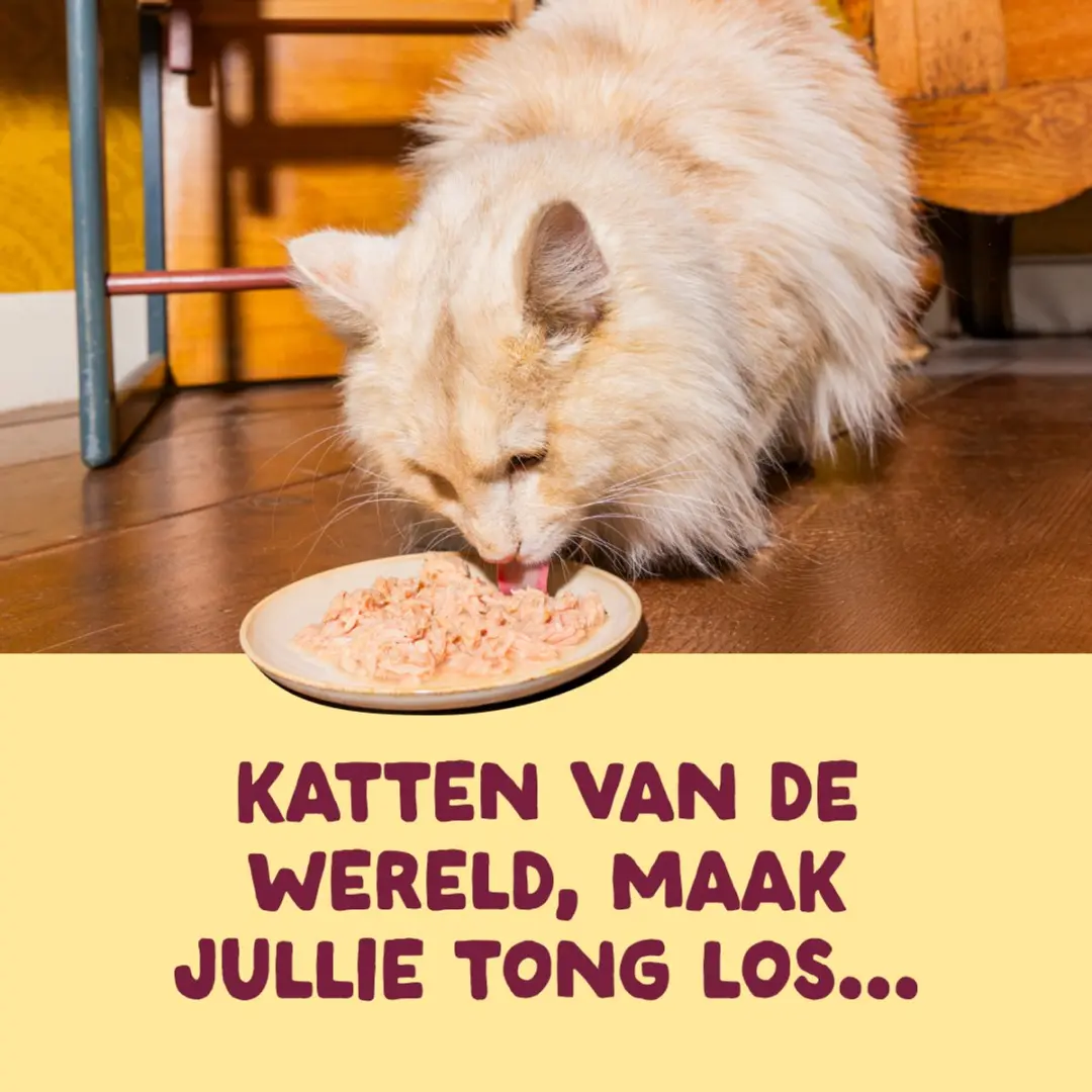 Edgard & Cooper Kat Natvoer Kattenfilet Kip/Kalkoen 70g - afbeelding 6 van 6