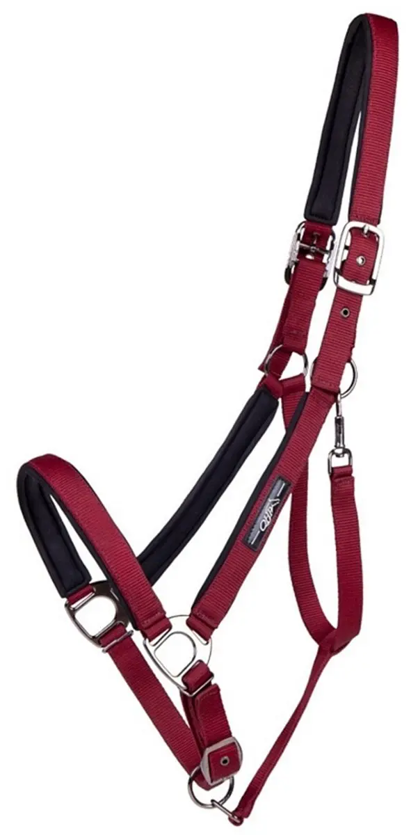 QHP HALSTER DELUXE TREKPAARD Rood